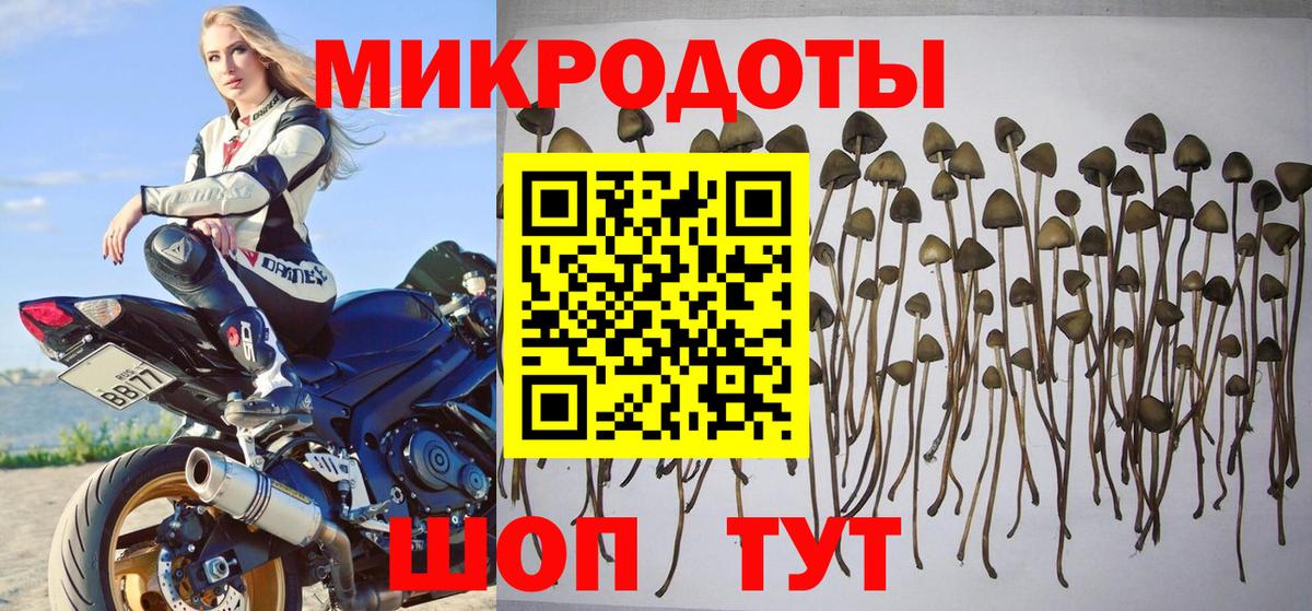 Тейково  Галлюциногенные грибы ЛСД  цены наркотик  Вход с VPN  Галлюциногенные грибы GOLDEN TEACHER 
