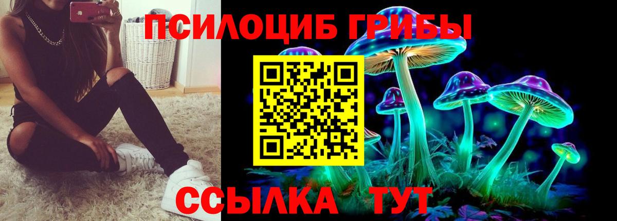 Галлюциногенные грибы прущие грибы Тейково